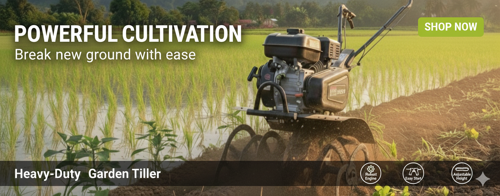 Gemini_Generated_Image_cs1s31cs1s31cs1s