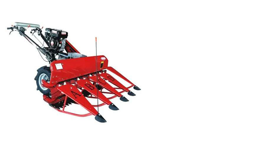 RIGA-ITALY POWER REAPER MODEL - 4G 120